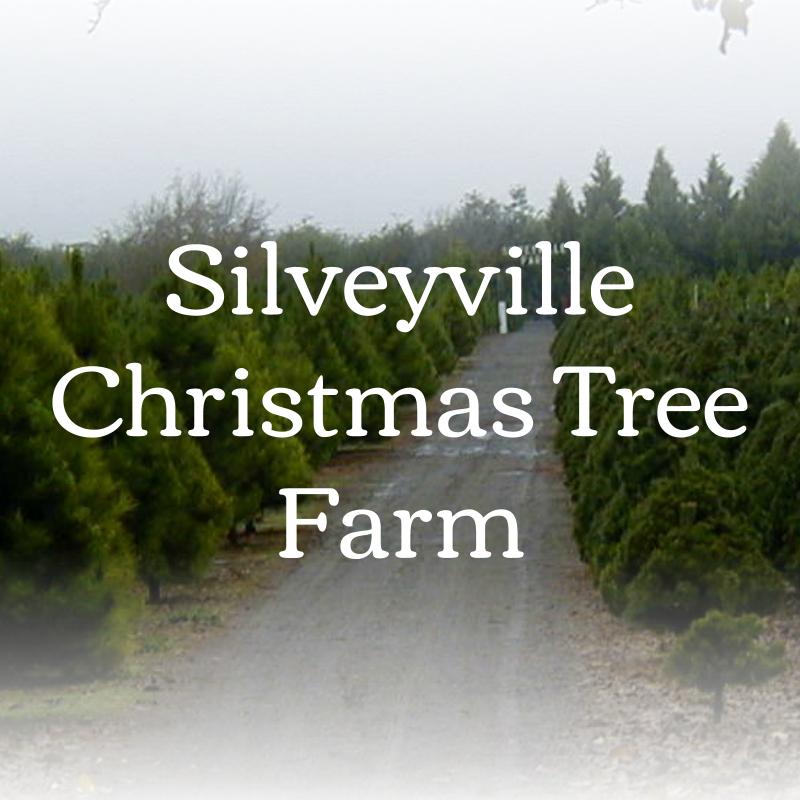 Home - Silveyville Farm - Home - Silveyville Farm